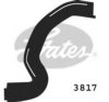 GATES 3817 Radiator Hose